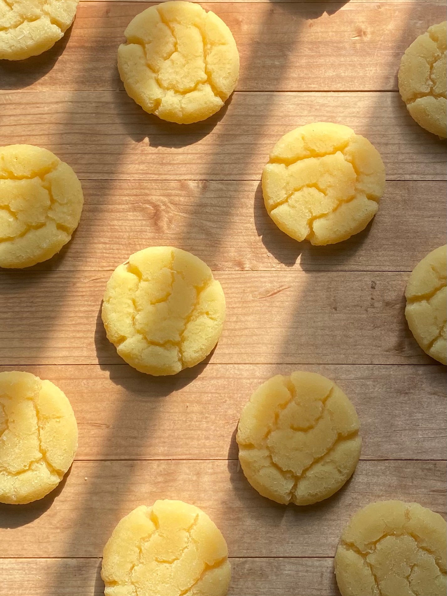 Sugar Cookie